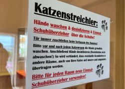 25 Jahre Tierheim In Jena Jubilaeum Mit Grossem Fest Gefeiert 14